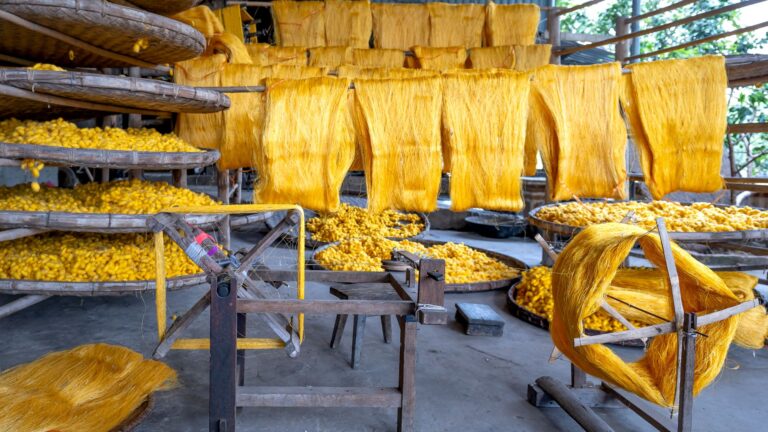 Maison des Canuts : découvrez l’histoire de la soierie lyonnaise à la Croix-Rousse